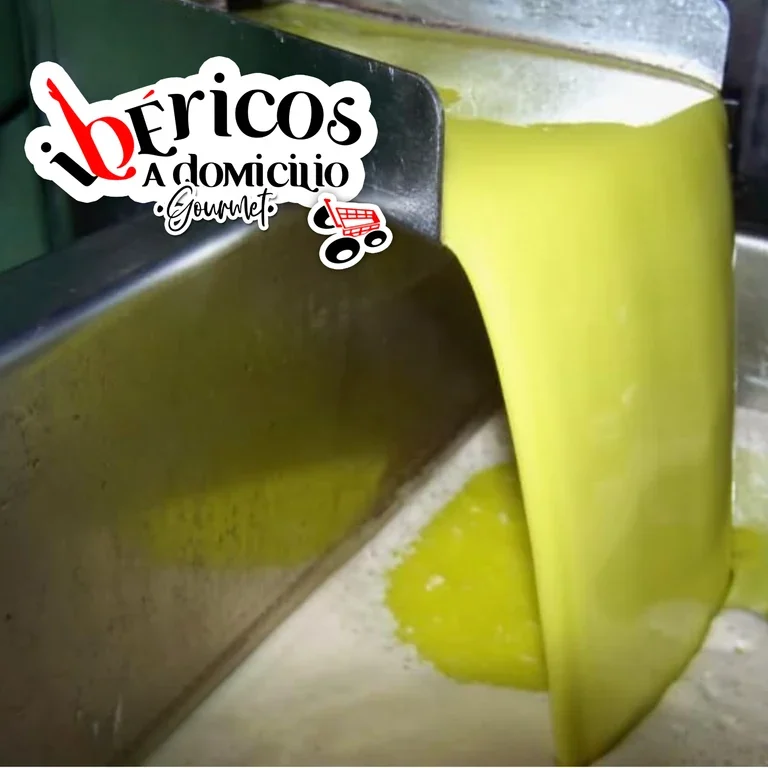 Aceite de oliva virgen extra recién extraído